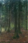 Старый лес 110x65 2000